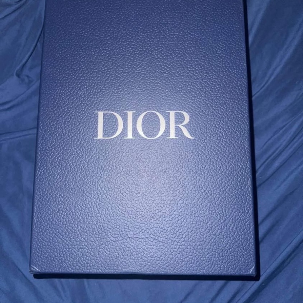 Dior b22